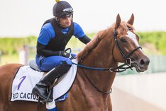 Red Cactus _R2_3470-2.jpg