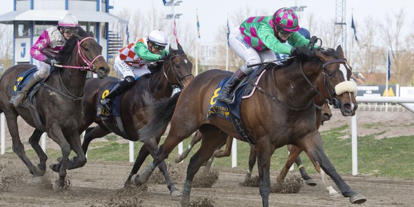 Relentless Flyer 3574