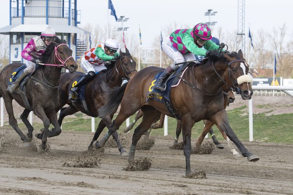 Relentless Flyer 3574