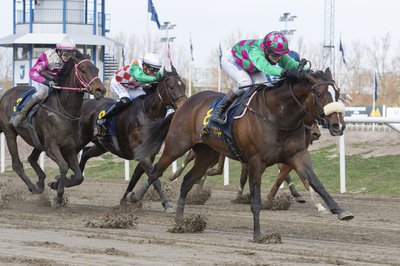 Relentless Flyer 3574