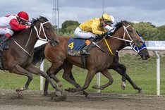 Repeat Offender 7102