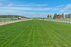 Göteborg Galopp 20220512_144458.jpg