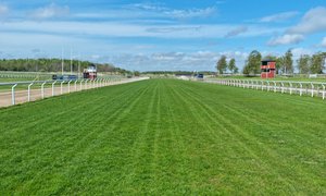 Göteborg Galopp 20220512_144458.jpg
