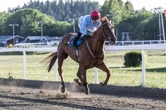 Royal Biscuit_T3I8414