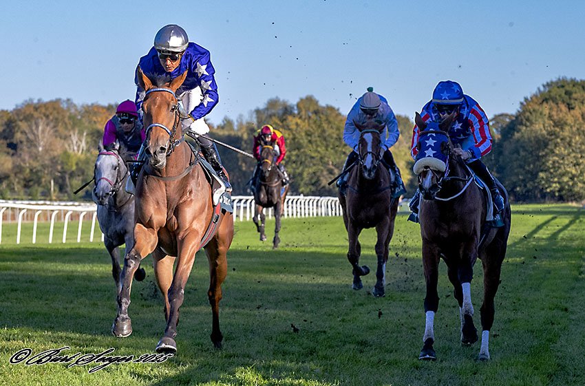 Sandhurst Dansk St Leger