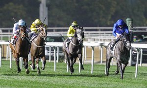Meydan SILENT NIGHT (SWE) 18 Feb 2021-3676.JPG