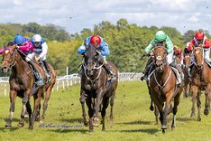 SUSPICIOUS MIND_S2_7978.jpg