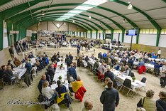 Scandinavian Open Yearling Sale 2023_DSC7872