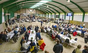 Scandinavian Open Yearling Sale 2023_DSC7872