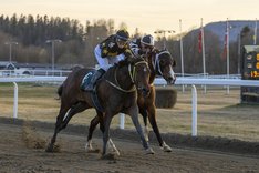 Scytale_S3I0084 Övrevoll 21 april.jpg