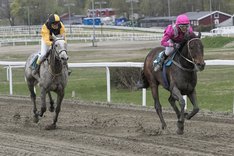 Sir Walter_S8I8298 vinner på Övrevoll 11 maj