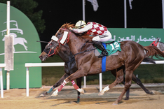 Skärmavbild 2021-02-12 kl. 17.15.10.png