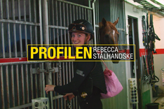 Skärmbild 2025-01-15 134227