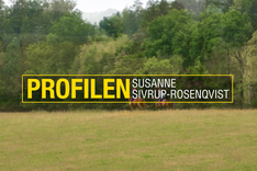 Skärmbild 2025-01-29 103335