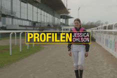 Skärmbild 2025-11-20 105059