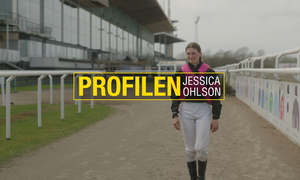 Skärmbild 2025-11-20 105059