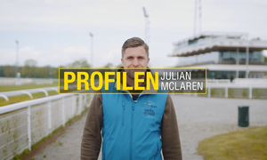 Skärmbild 2025-11-28 152726