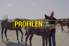 Skärmbild 2025-12-08 101800