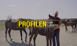 Skärmbild 2025-12-08 101800