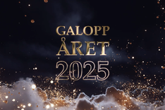 Skärmbild 2026-03-02 141505