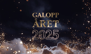 Skärmbild 2026-03-02 141505