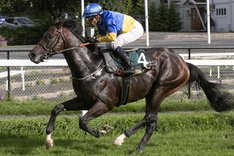 Slava Ukraini_S8I9334 kopia