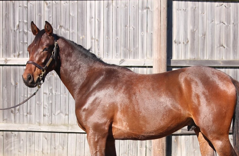 South Ferry Road annonsbild (kopia)