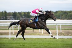 Square de Luynes Stockholm Cup 2019.jpg