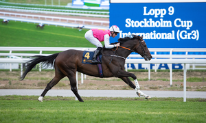 Square de Luynes Stockholm Cup 2020 web.png