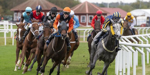St Leger 0297 (1).jpg