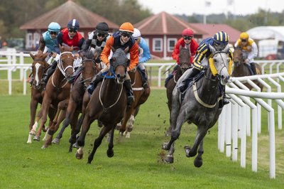 St Leger 0297 (1).jpg