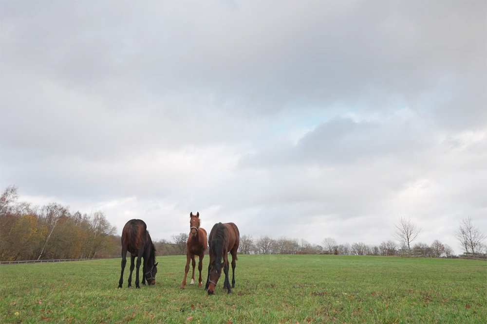 Staffan Lidbeck 20.17.38