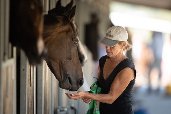 Stallbacken 0106MOF200816-06741.jpeg