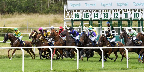 Start med startboxar på Göteborg Galopp.jpg