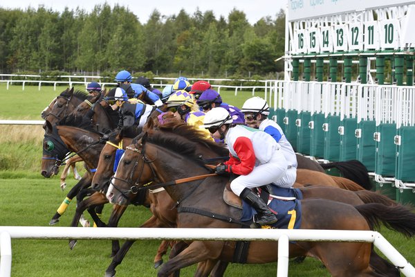 Starten av ett lopp på Göteborg Galopp.jpg