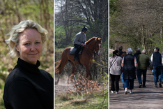 Bakom kulisserna header long