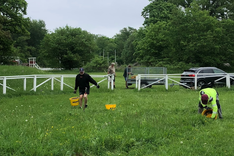 Strömsholm förberedelser 20242