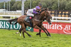 Supremacy Quick_T3I4065