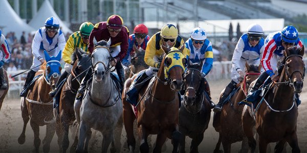 Svenskt Derby header.jpg