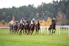 Svenskt St Leger 2019.jpg