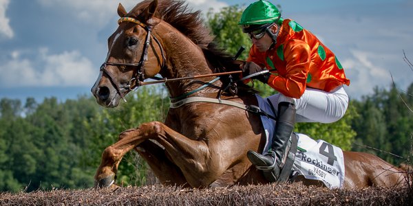 Swedish Grand National-Amie Karlsson.jpg
