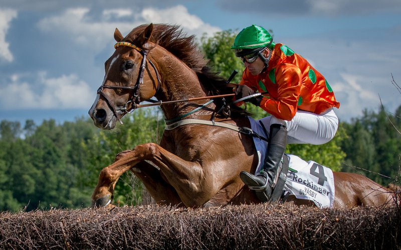 Swedish Grand National-Amie Karlsson.jpg