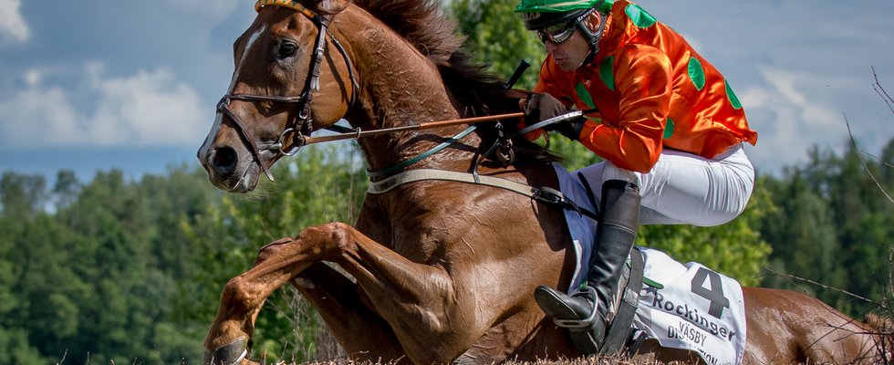 Swedish Grand National-Amie Karlsson.jpg