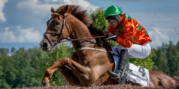 Swedish Grand National-Amie Karlsson.jpg