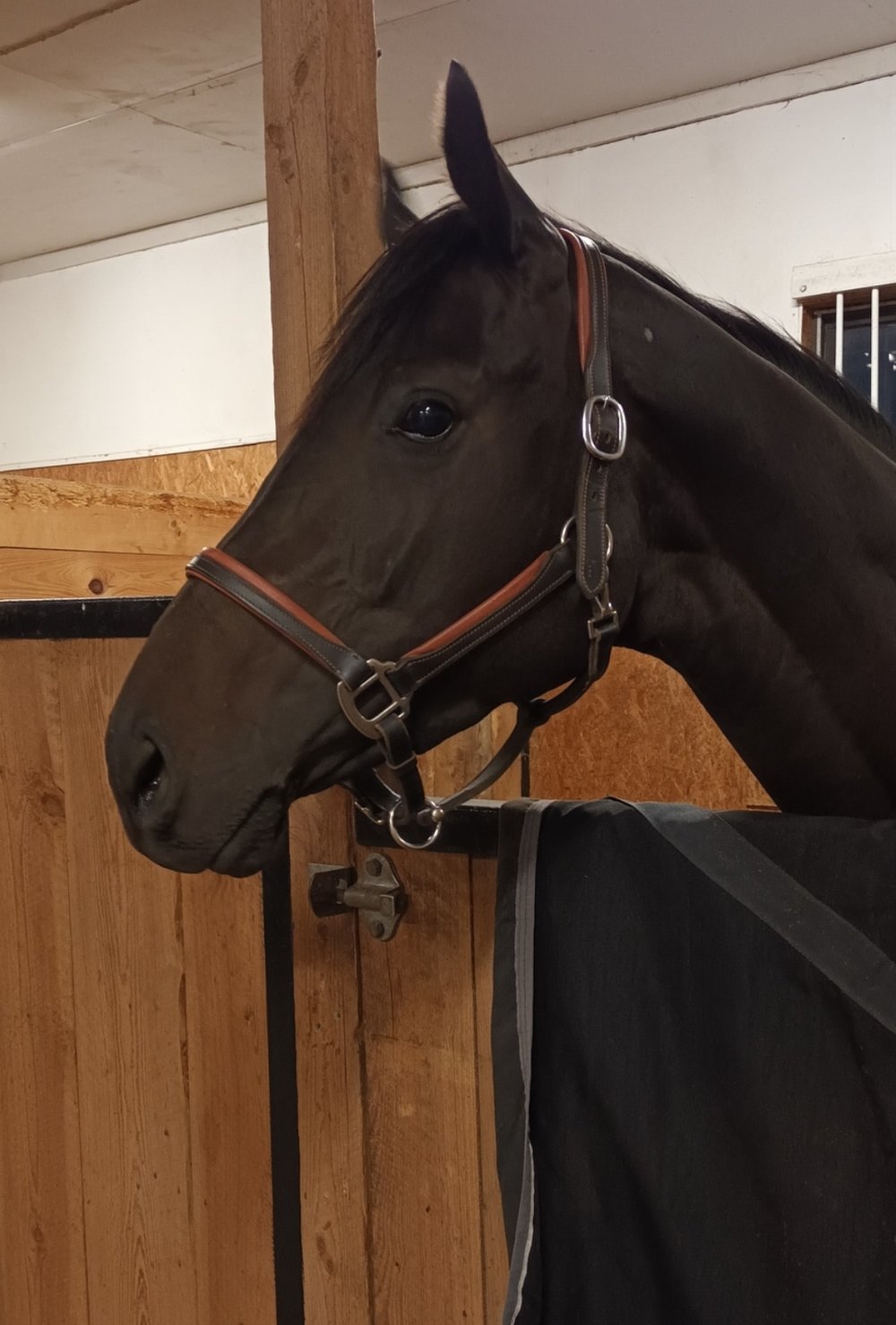 Sweet Home Alabama annons 2