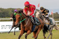 TILLE IN ACTION_S2_0286 kopia