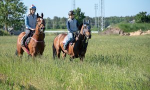 Tappskokurs nyhet