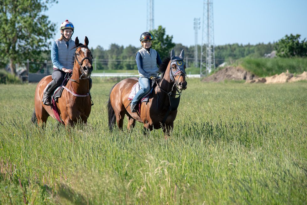 Tappskokurs nyhet