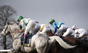 Tävling JockeysHästarEfterStart Elina Björklund.jpg