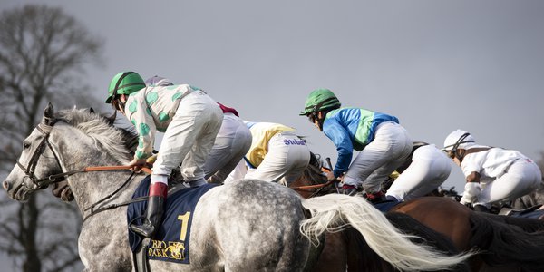 Tävling JockeysHästarEfterStart Elina Björklund.jpg